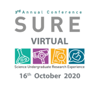 Image for  Science Undergraduate Research Experience Conference 2020