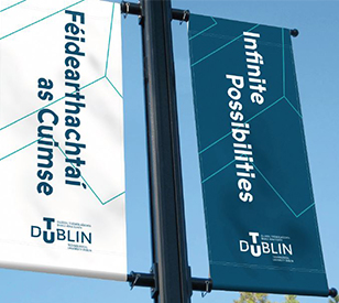 Image for TU Dublin Irish Language Classes and Online Training for 2020